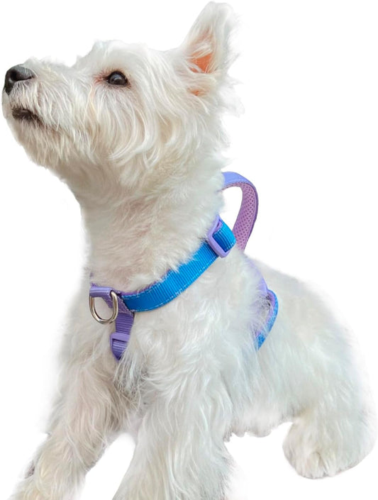 DF No Pull Dog Harness, Escape-Proof Fully Customizable Fit Harness with Front Clip & Soft Padding Handle, Nylon & Neoprene Straps, Easy Walking & Training, Rainbow, for Dogs 11-18 Lbs