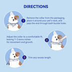 Pointail Flea & Tick Collar for Dogs Vet-Recommended Flea & Tick Treatment & Prevention Collar for Dogs 1 Count 15’’