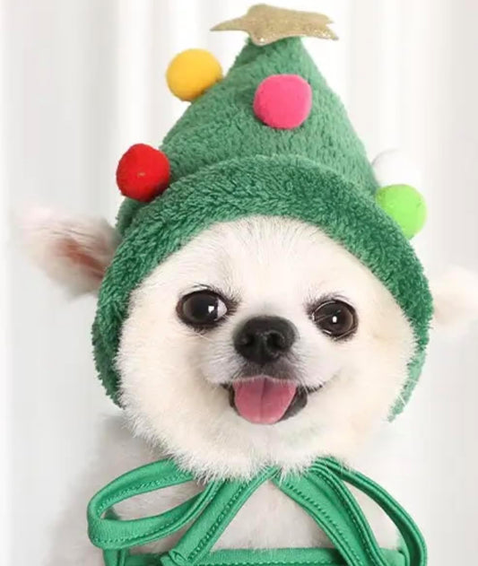 Small Dog Cat Sweater with Reindeer Antlers, Christmas Tree Hat, Sunglasses