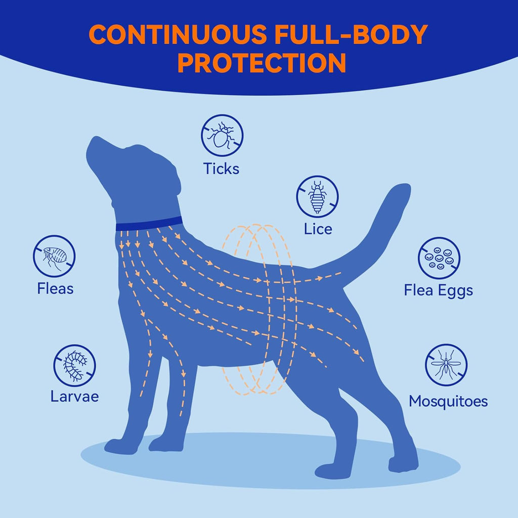 Pointail Flea & Tick Collar for Dogs Vet-Recommended Flea & Tick Treatment & Prevention Collar for Dogs 1 Count 15’’