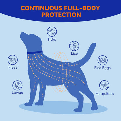 Pointail Flea & Tick Collar for Dogs, Vet-Recommended Flea & Tick Treatment & Prevention Collar for Dogs, 1 Count, 15"