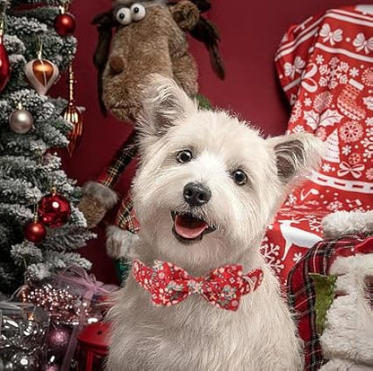 Lionet Paws Christmas Dog Collar, Cute Winter Pink Dog Collar for Large Dogs, Adjustable Cotton Gloves Pet Collars for Medium Large Dogs