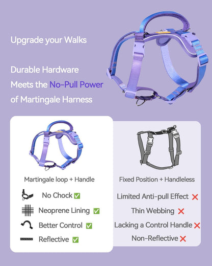 DF Freedom No Pull Martingale Dog Harness, Gentle Control for No Choking, Front Clip Harness with Reflective, Adjustable & Padded Handle for Easy Walking & Training, Rainbow, 3/4", Chest 22.4"-30.4