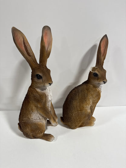 Damage Ornamental Hares, 2-pack
