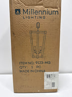Millennium Lighting 9 Inch Cage Pendant - 9123-MG - Transitional