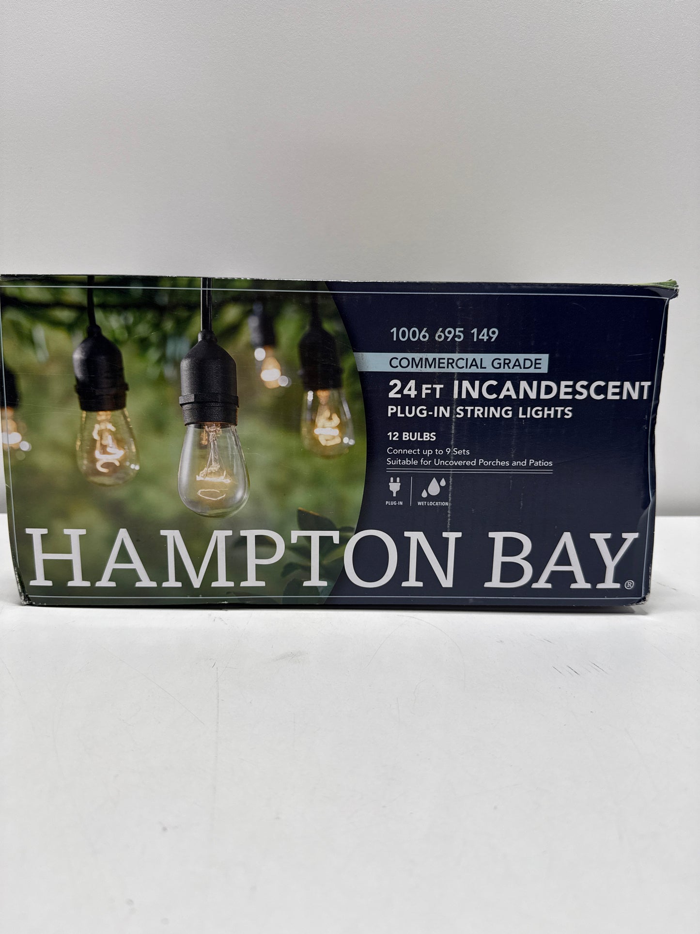 Used 12-Light 24 Ft. Indoor/Outdoor Plug-in Incandescent Edison Bulb String Light