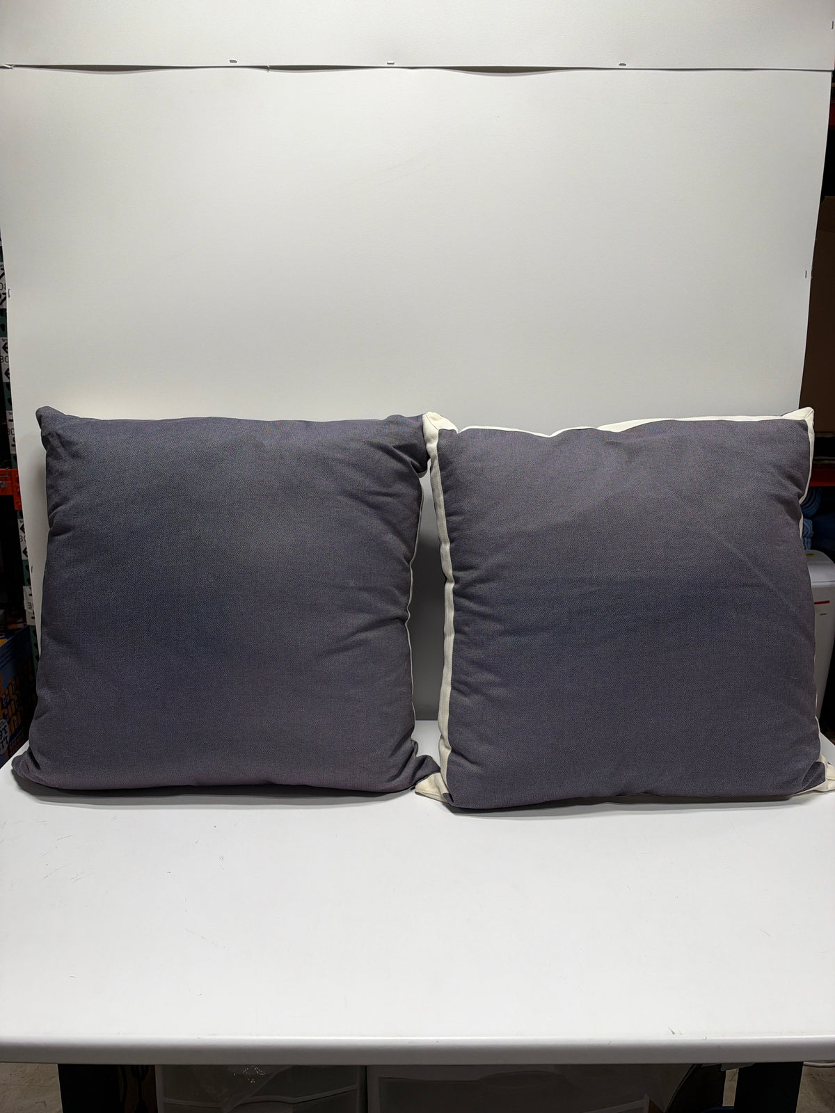 24" x 24" Pair of Euro Throw Pillows with Shams