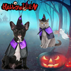 Witch Dog Costume Dog Halloween Costumes Pet Wizard Hat and Cloak Dog Clothes for Small Medium Dogs Cats Puppy Kitten