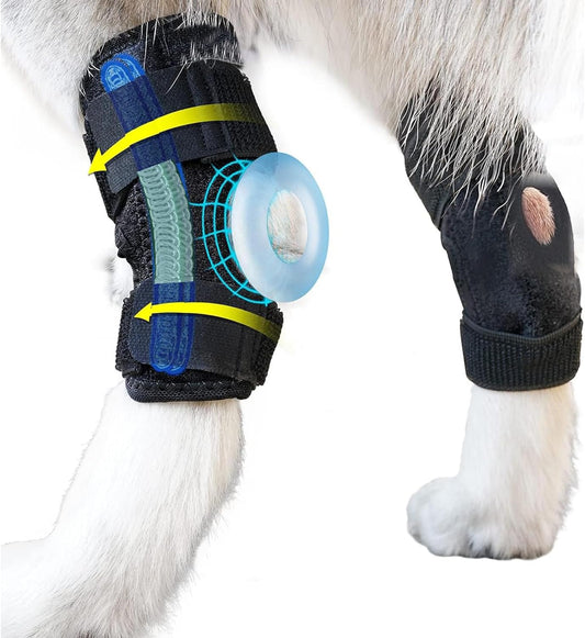 Dxmnoly Dog Leg Brace for Rear Hock & Ankle, Compression Wrap Brace Support with Metal Spring Strap for Wound Protection, Preventing Injuries and Sprains (M)