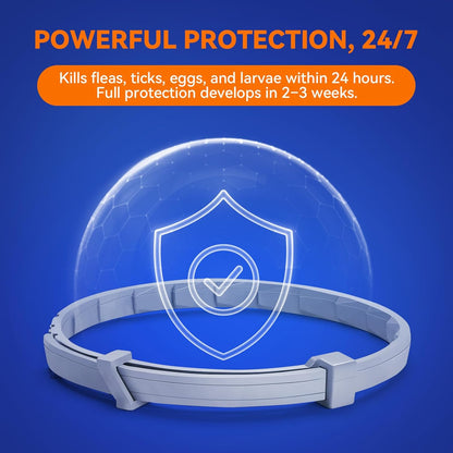 Pointail Flea & Tick Collar for Dogs, Vet-Recommended Flea & Tick Treatment & Prevention Collar for Dogs, 1 Count, 15"