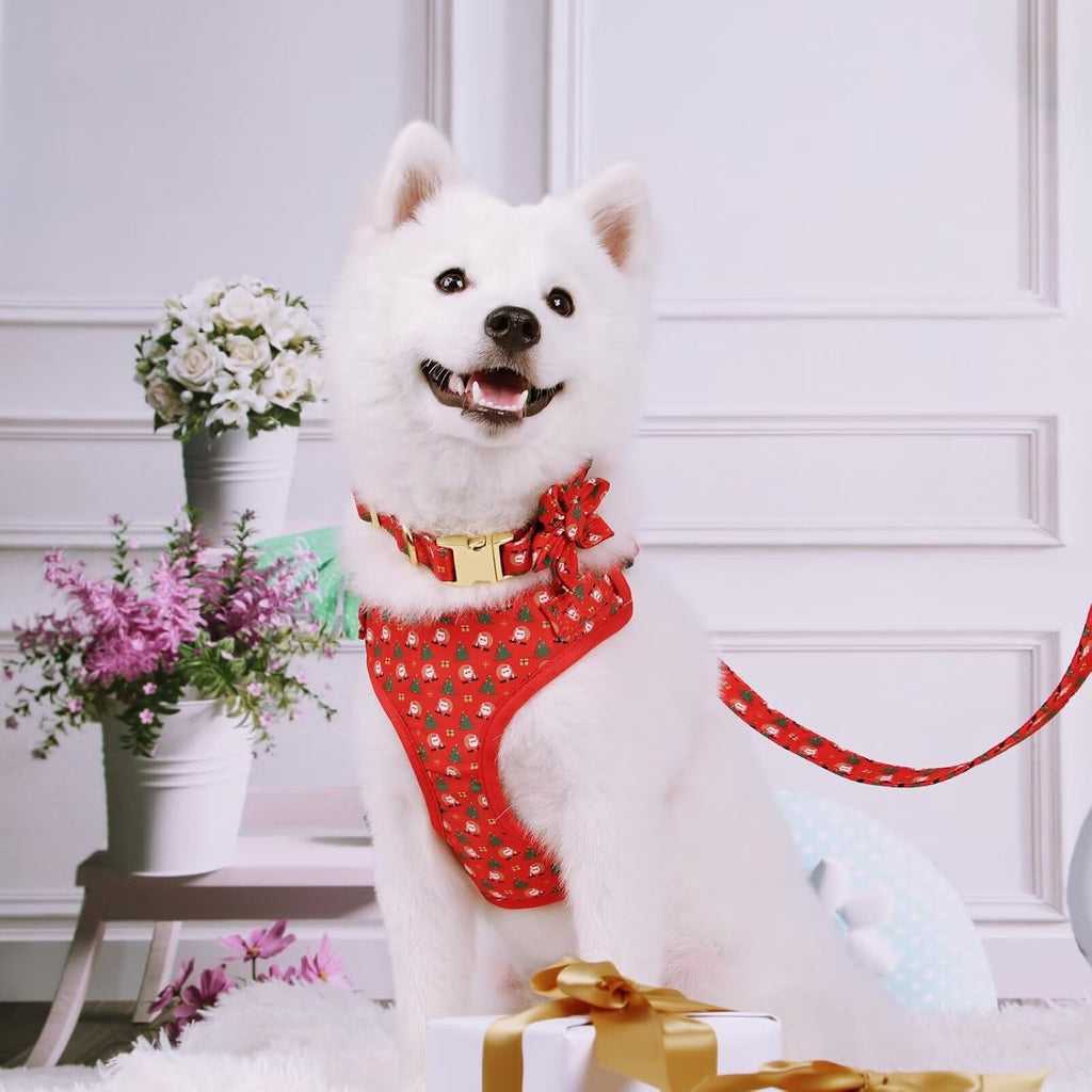 Beirui Christmas Dog Collars Harnesses & Leashes Set - Cute Dog Collar and Leash Set with Flower - Soft Mesh Dog Vest