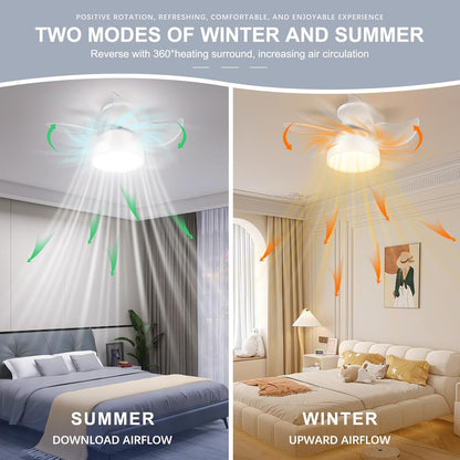 LEDMO Ceiling Fans with Lights and Remote Control, 24 inch White Ceiling Fan, Quiet Reversible Motor, Modern Ceiling Fans for All Seasons