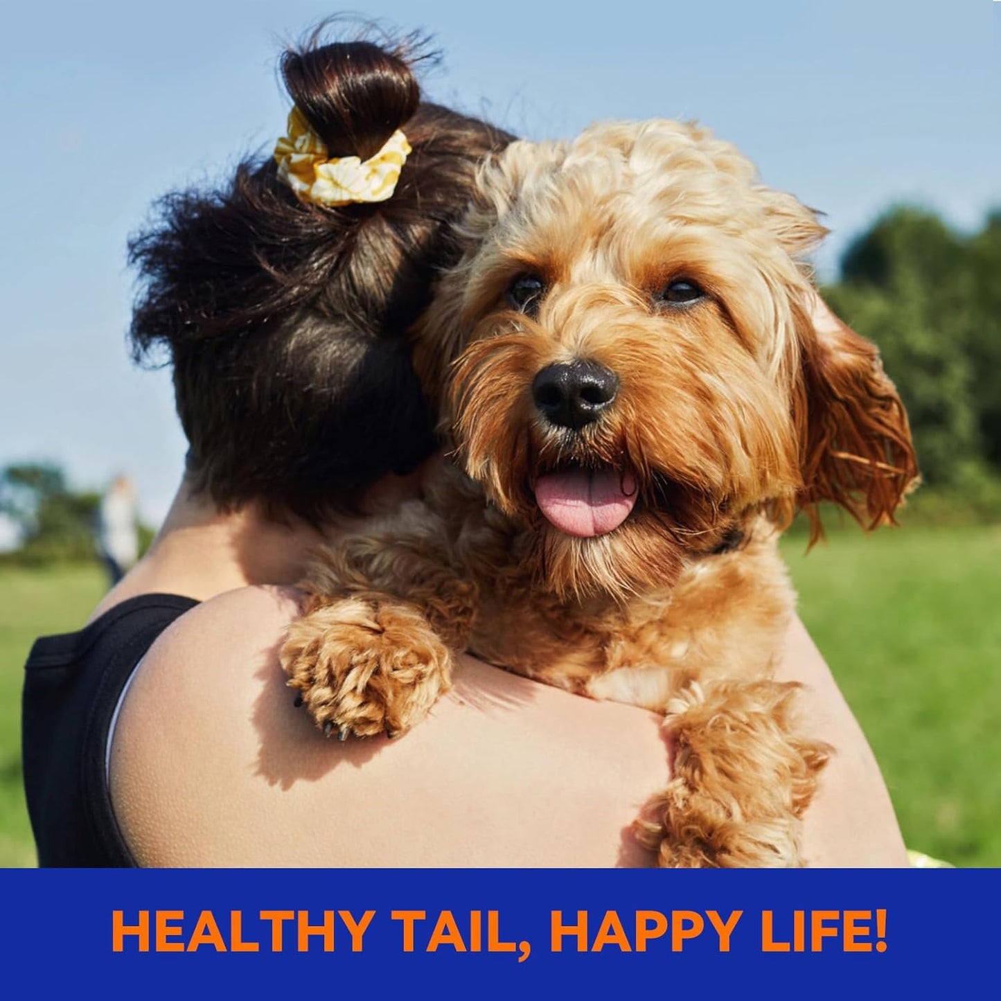 Pointail Flea & Tick Collar for Dogs, Vet-Recommended Flea & Tick Treatment & Prevention Collar for Dogs, 1 Count, 15"