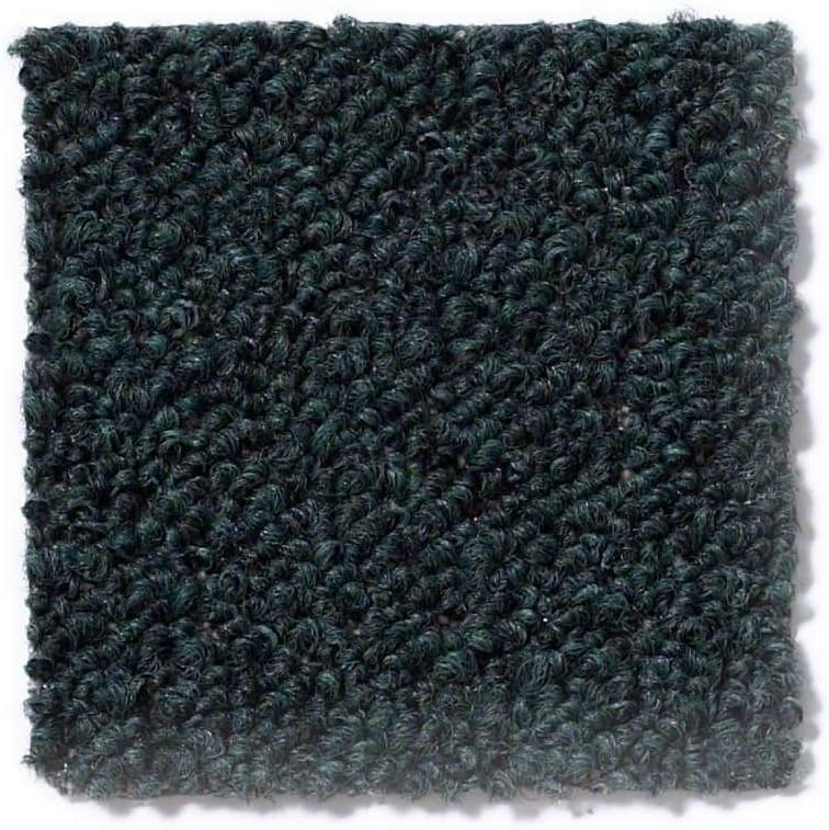 Home Queen Indoor Outdoor Commercial Dark Green Color Area Rug - 6'x9'