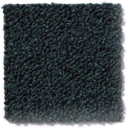 Home Queen Indoor Outdoor Commercial Dark Green Color Area Rug - 6'x9'