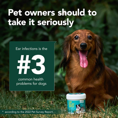 SmileDenX Dog Ear Cleaner Wipes - Dog Ear Infection Treatment Fast Relief from Ear Itching and Inflammation, Cat Ear Wipes Gently Remove Ear Wax Debris and Smelly (50 Pcs, Lavender)