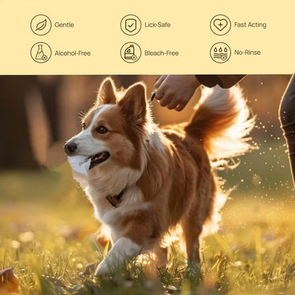 24 x Hnjasnee Pet Grooming Gloves for Dogs and Cats, coconut oil for dogs ， dog paw wipes ，dog washing gloves ，coconut oil for dogs