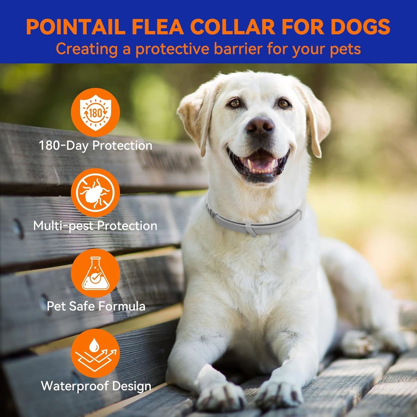 Pointail Flea & Tick Collar for Dogs, Vet-Recommended Flea & Tick Treatment & Prevention Collar for Dogs, 1 Count, 15"