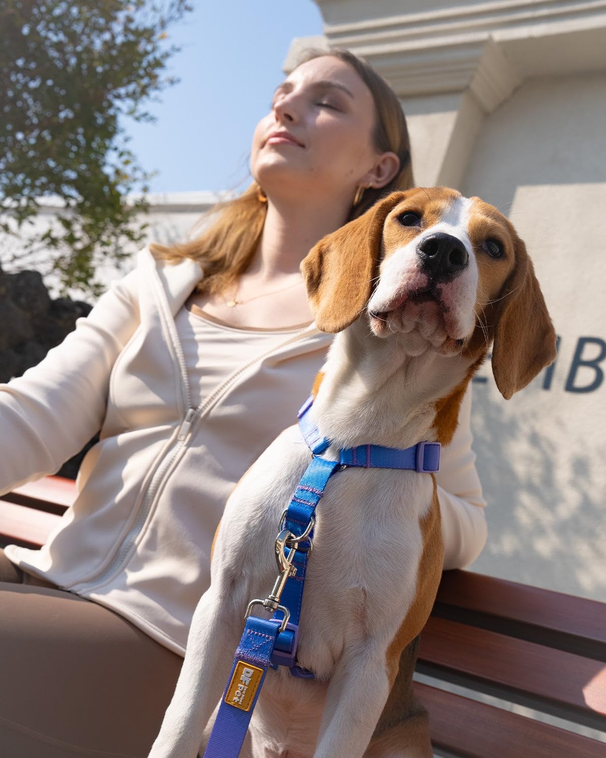 DF Freedom No Pull Martingale Dog Harness, Gentle Control for No Choking, Front Clip Harness with Reflective, Adjustable & Padded Handle for Easy Walking & Training, Rainbow, 3/4", Chest 22.4"-30.4