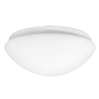 Miseno ML6294 Replacement Glass Globe - Glass