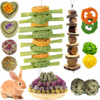 Tyotrbs 22Pcs Bunny Chew Toys for Rabbits Teeth Natural Rabbit Toys Apple Wood Sticks Carrot Timothy Grass Treats