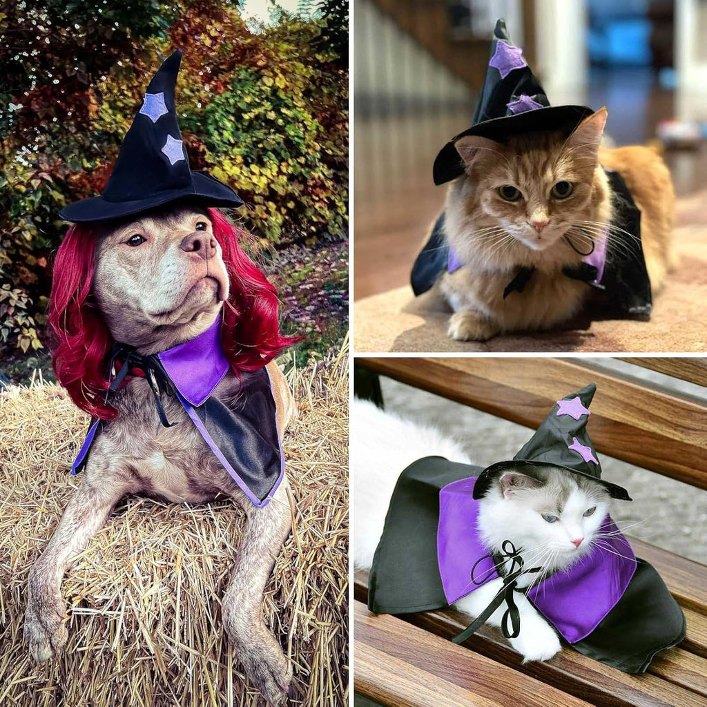 Witch Dog Costume Dog Halloween Costumes Pet Wizard Hat and Cloak Dog Clothes for Small Medium Dogs Cats Puppy Kitten