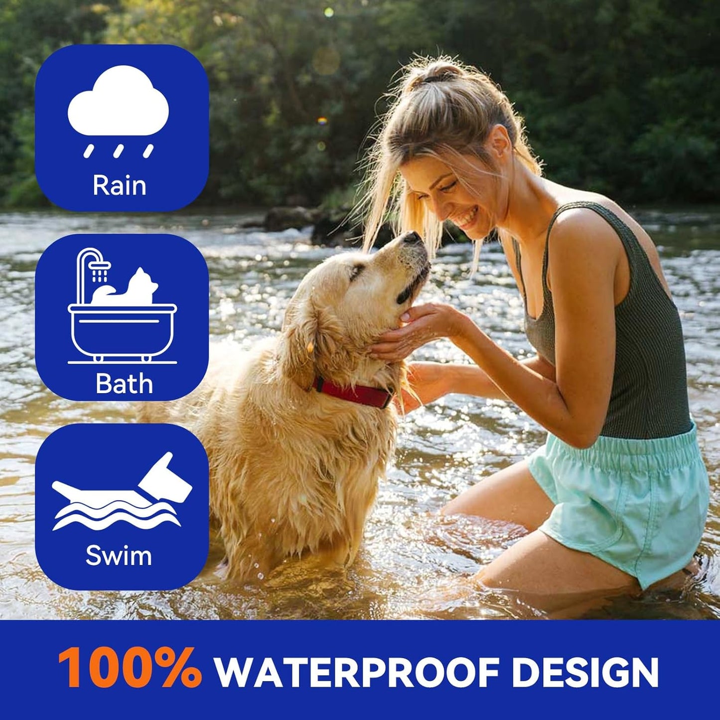 Pointail Flea & Tick Collar for Dogs, Vet-Recommended Flea & Tick Treatment & Prevention Collar for Dogs, 1 Count, 15"