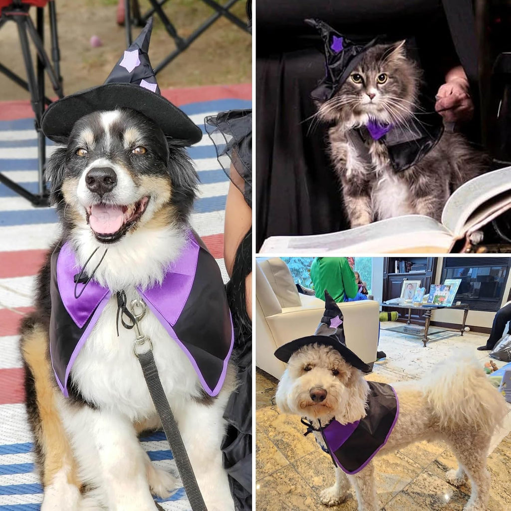 Witch Dog Costume Dog Halloween Costumes Pet Wizard Hat and Cloak Dog Clothes for Small Medium Dogs Cats Puppy Kitten