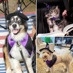 Witch Dog Costume Dog Halloween Costumes Pet Wizard Hat and Cloak Dog Clothes for Small Medium Dogs Cats Puppy Kitten