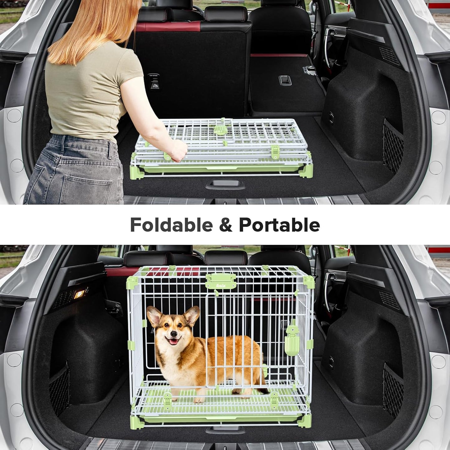 24" Dog Crate for Small Dog, Portable Kennel Indoor Dog Crate (5-30lbs), Double-Door, Collapsible Metal Wire Puppy Crate, Includes Divider Panel&Tray, Foldable Travel Dog Crate for Small Pets&Animals