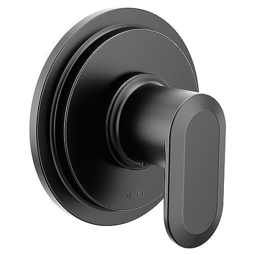 Moen M-Core Transfer Vertical Spa - *Plumbing