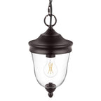Russo 13.75 in. 1-Light Matte Bronze Dimmable Outdoor Hanging Light Pendant Light with Clear Glass and No Bulb Included