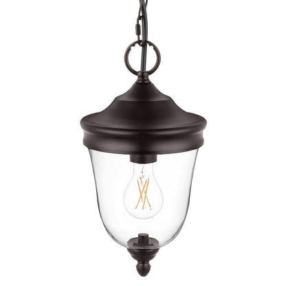 Russo 13.75 in. 1-Light Matte Bronze Dimmable Outdoor Hanging Light Pendant Light with Clear Glass and No Bulb Included