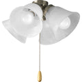 Progress Lighting 4-Light Universal Ceiling Fan Light Kit for AirPro Collection Ceiling Fans New Traditional and Rustic