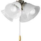 Progress Lighting 4-Light Universal Ceiling Fan Light Kit for AirPro Collection Ceiling Fans New Traditional and Rustic