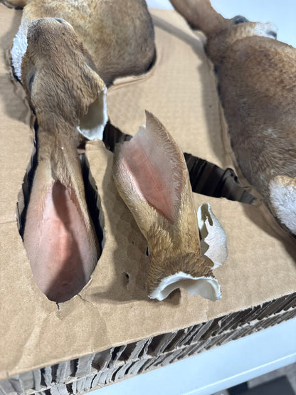 Damage Ornamental Hares, 2-pack