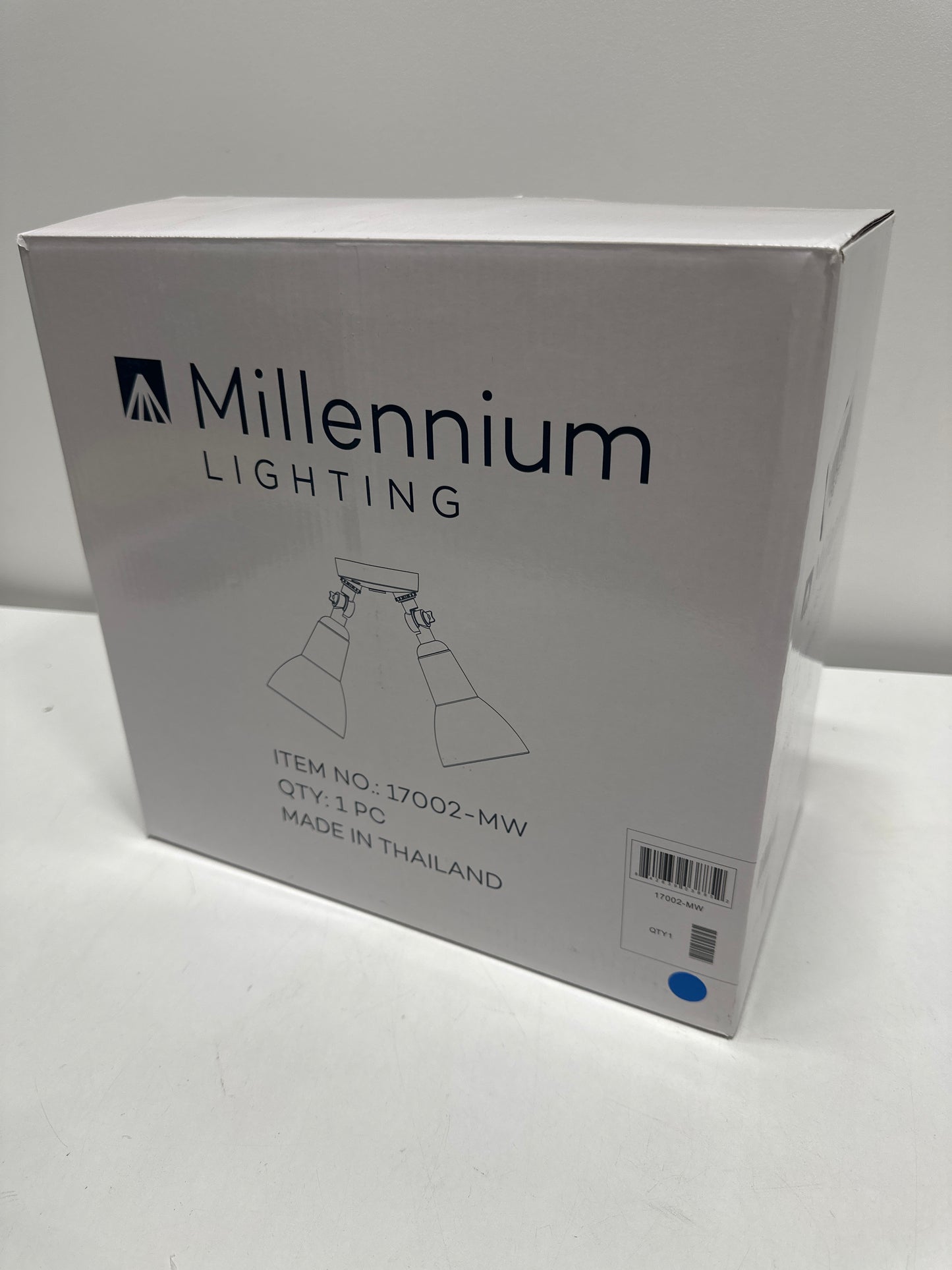 Millennium Lighting 17002 Twin Head 16 Wide Adjustable Flood Light - White