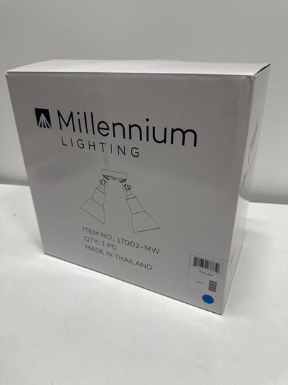 Millennium Lighting 17002 Twin Head 16 Wide Adjustable Flood Light - White