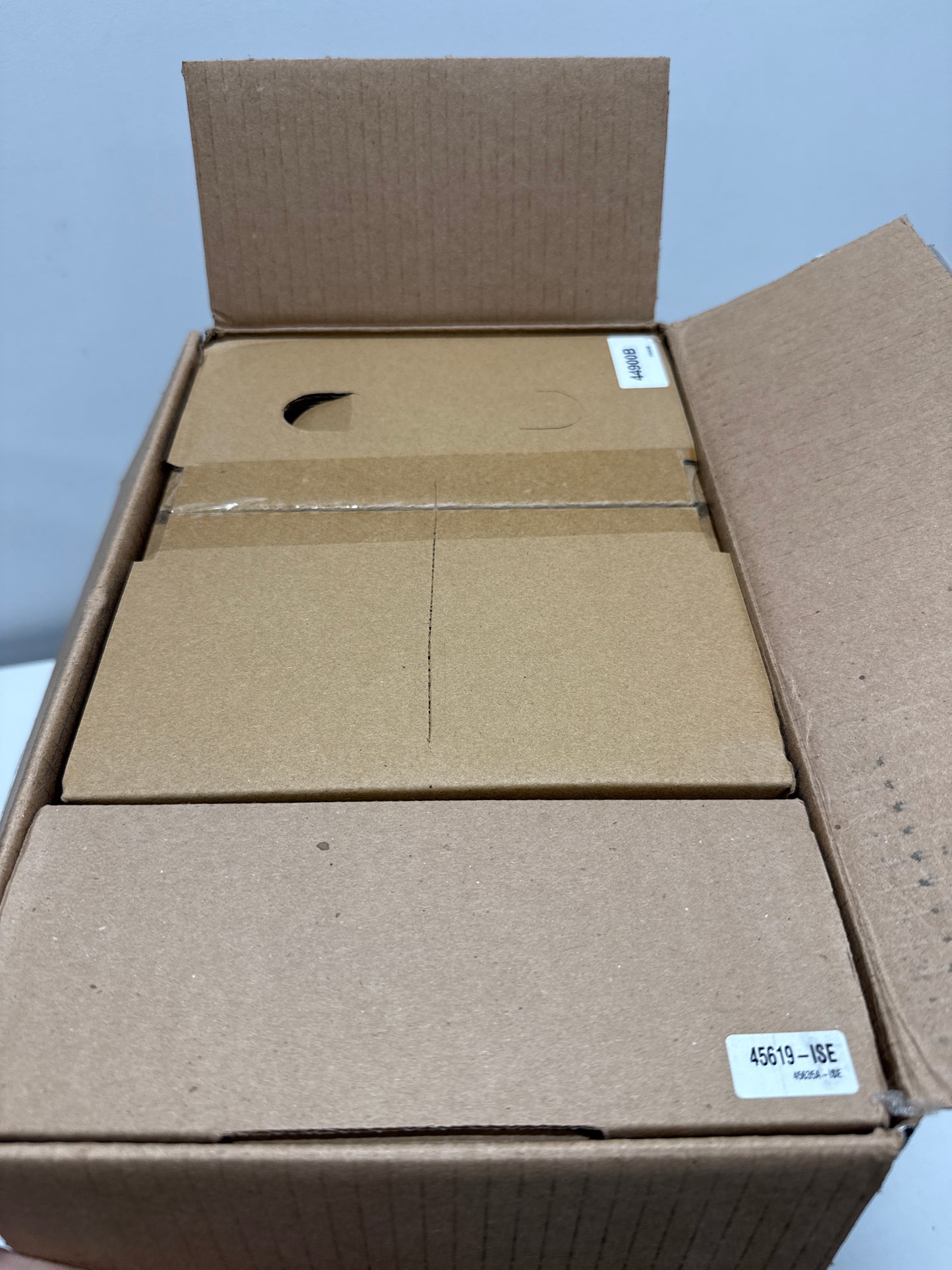 INSINKERATOR Digital Instant Hot Water Tank and Filtration System