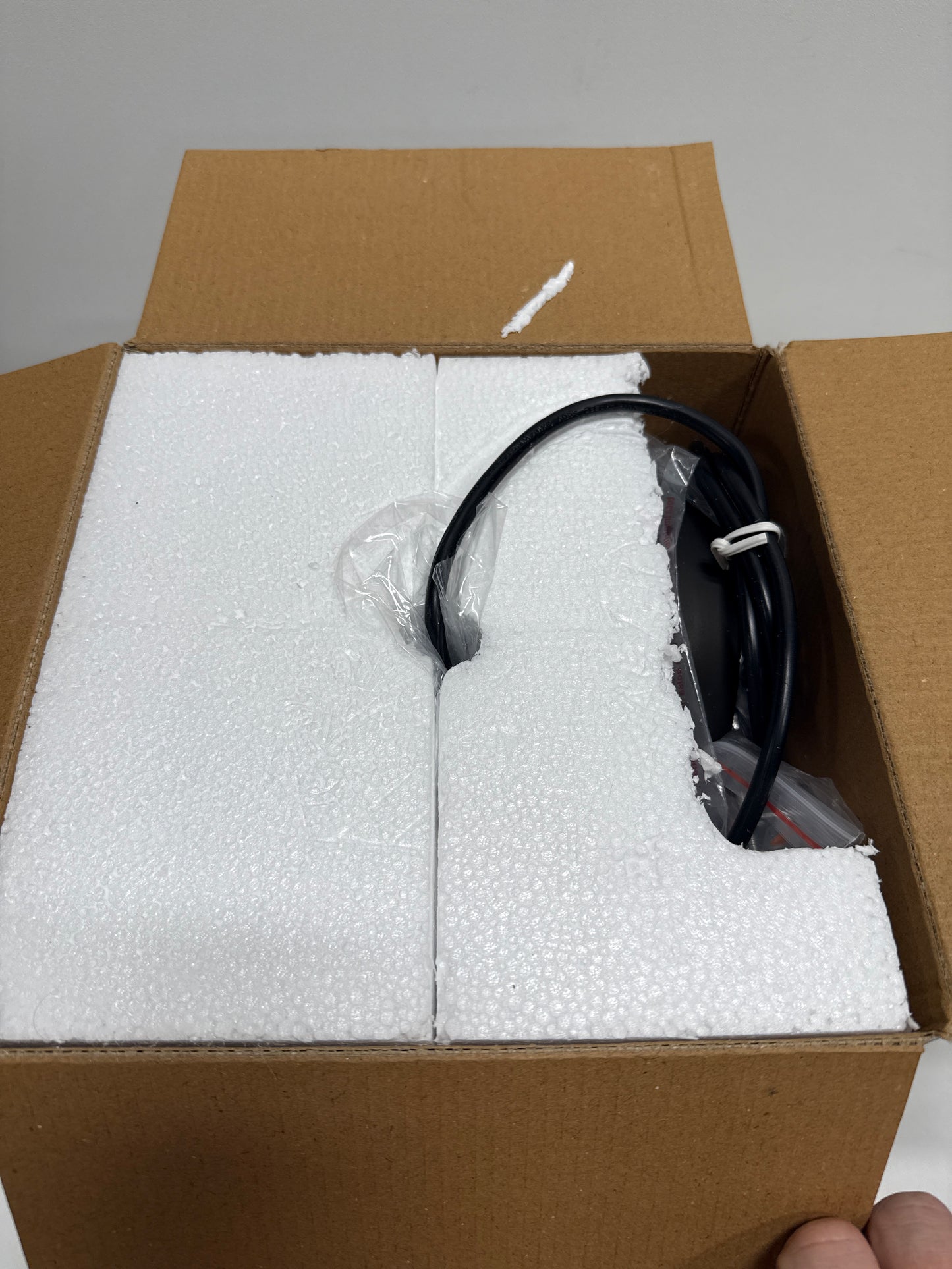 Westinghouse 6100800 Fiona Pendant, 1-Light, Oil Rubbed Bronze