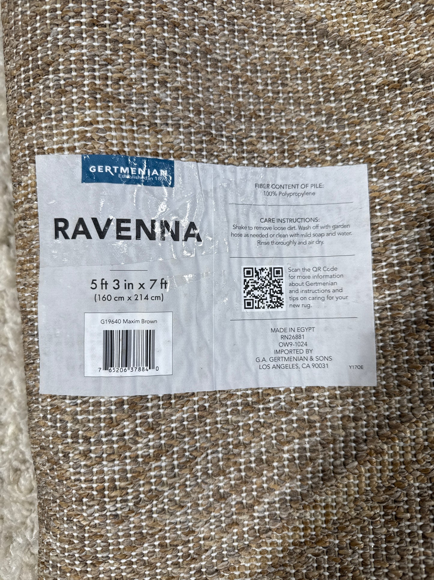 Ravenna Indoor/Outdoor Rug, Maxim 5 ft. 3 in. x 7 ft.