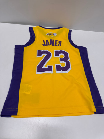 NBA Los Angeles Lakers Youth LeBron James Jersey - S