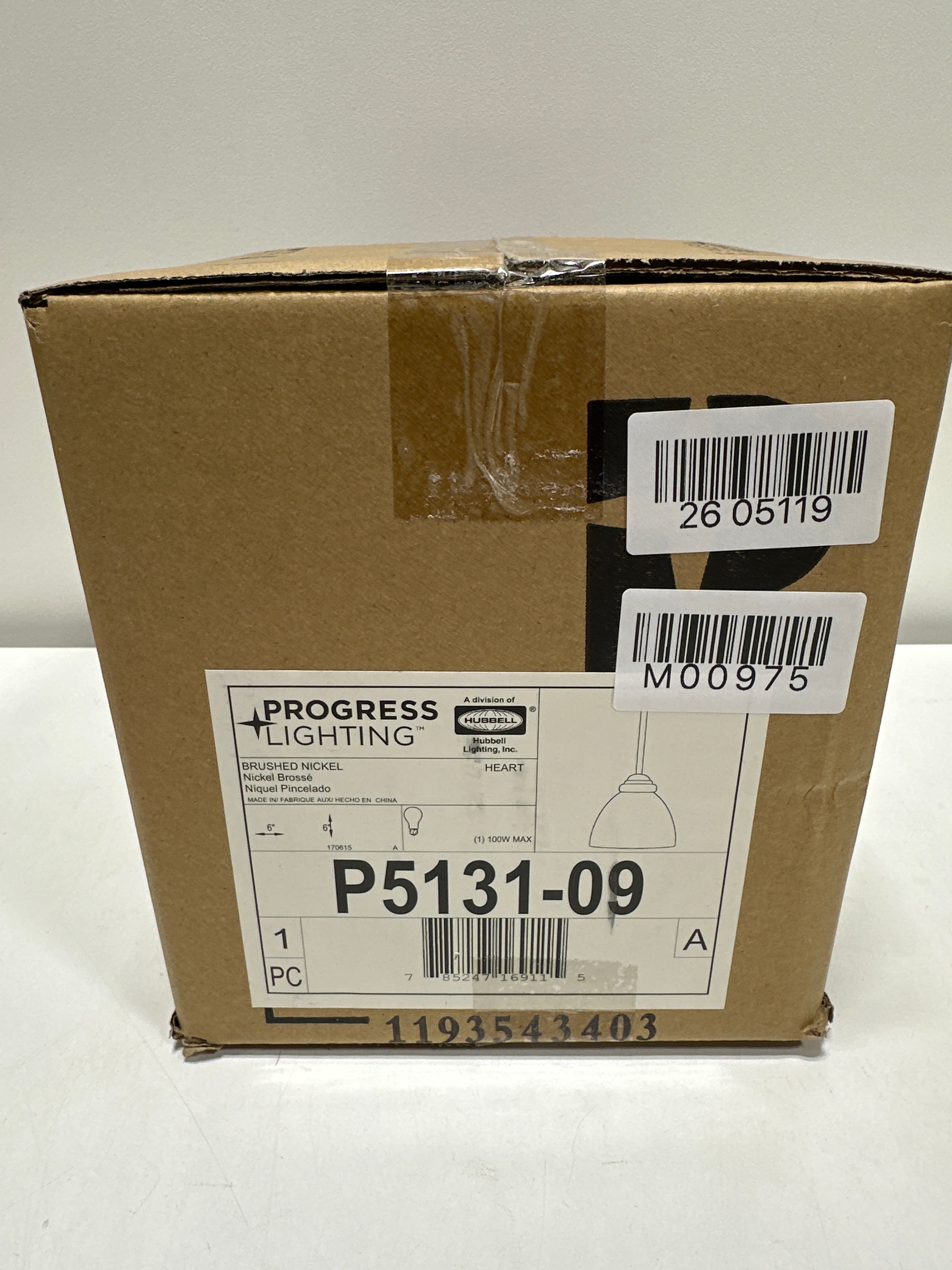 Progress Lighting Heart Collection 1-Light Mini-Pendant Brushed Nickel Etched Glass Shade