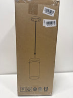 Globe Electric 61209 1-Light Pendant Light, Brass, Clear Glass Shade, Vintage Edison