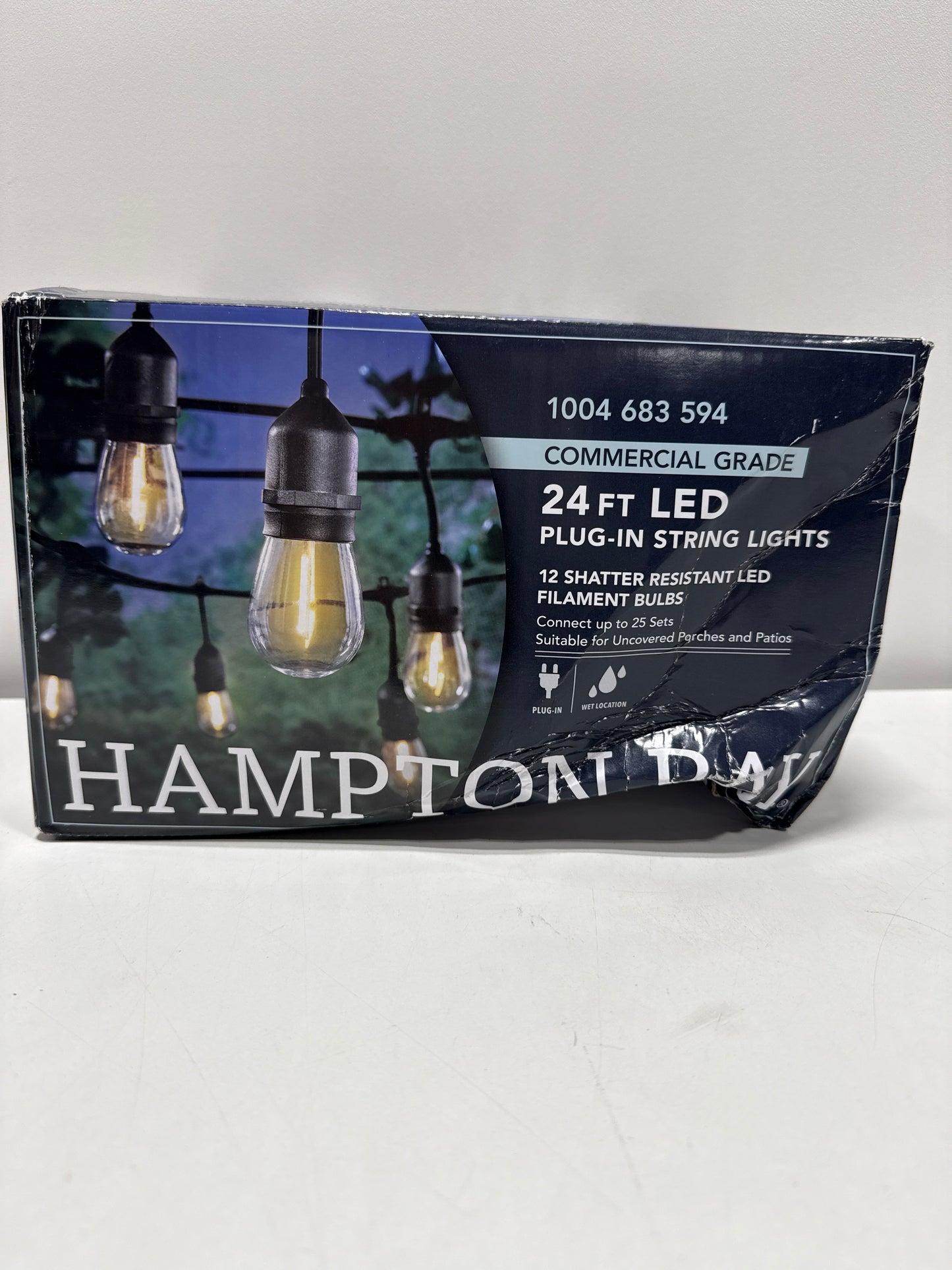 Hampton Bay 12-Light 24 Ft. Plug-in Indoor/Outdoor Edison String Light with S14 Single Filament LED Bulbs