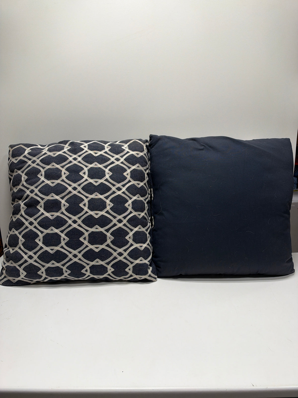 22" x 22" Pair of Throw Pillows