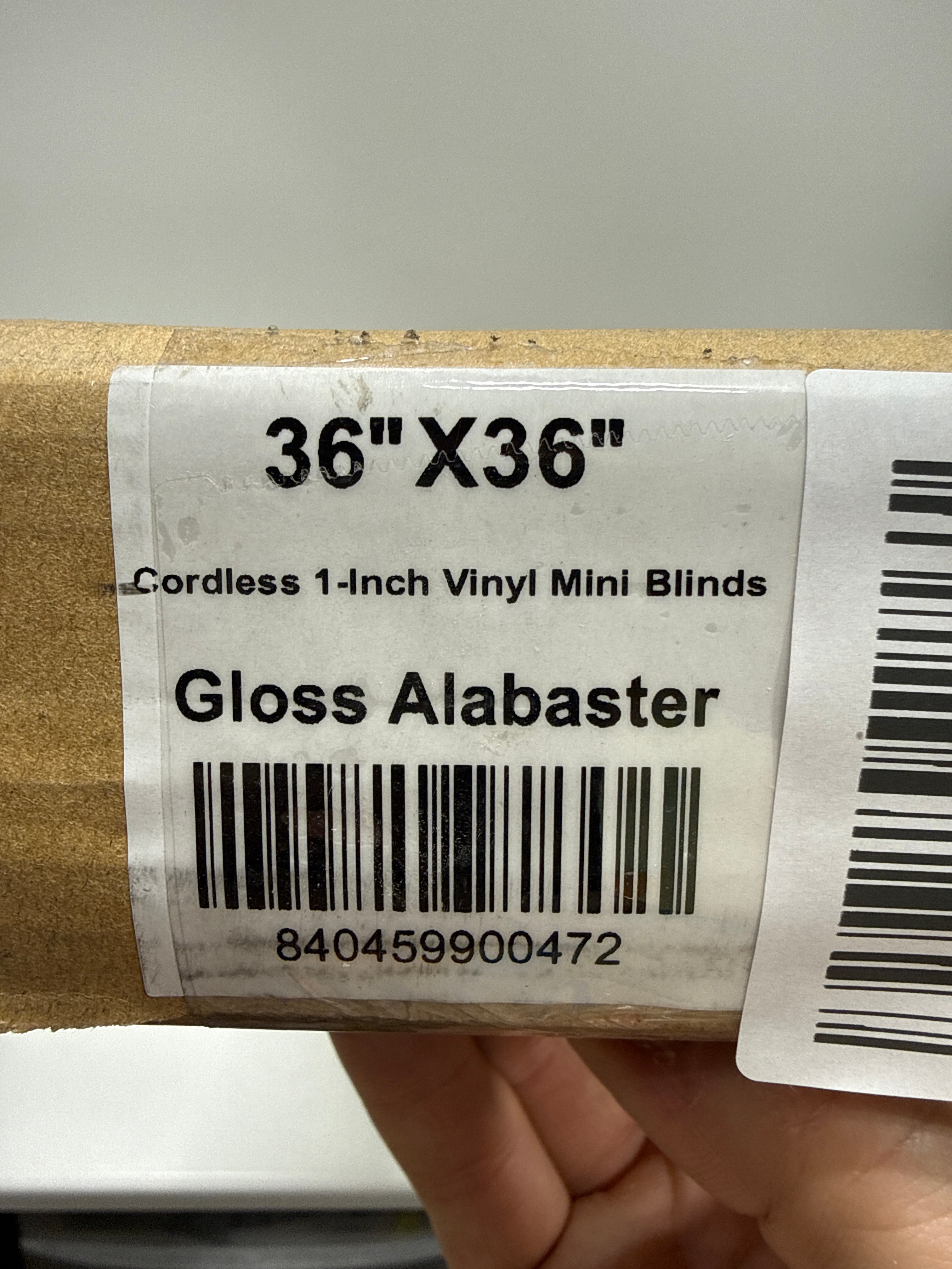 Chicology 36 W X 36 H Cordless Vinyl Mini Blinds 1 in Slats Light Filtering Alabaster Easy Install