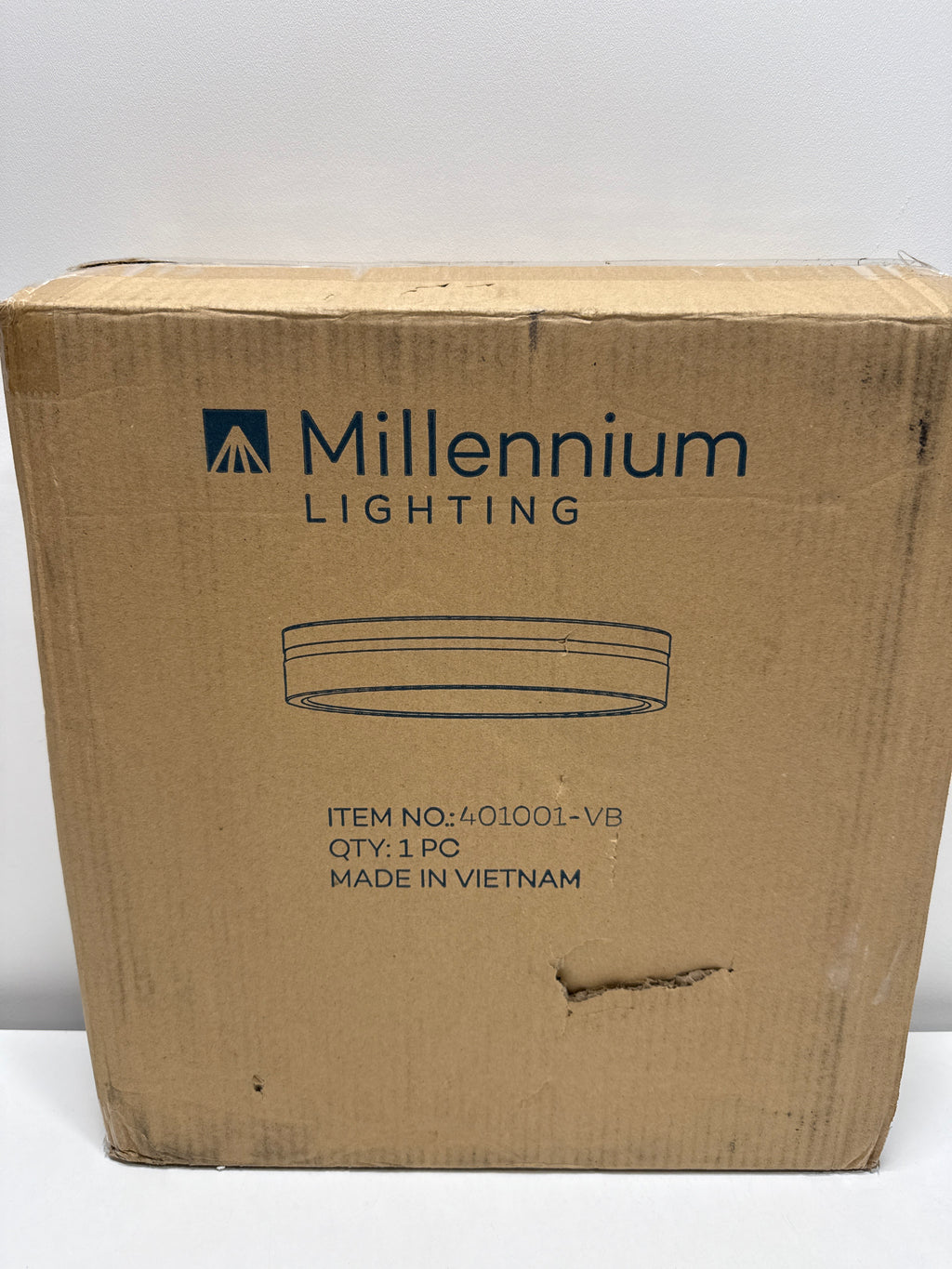 Millennium Lighting 401001 Soltra 13 Wide LED Flush Mount Drum Ceiling Fixture - Brass