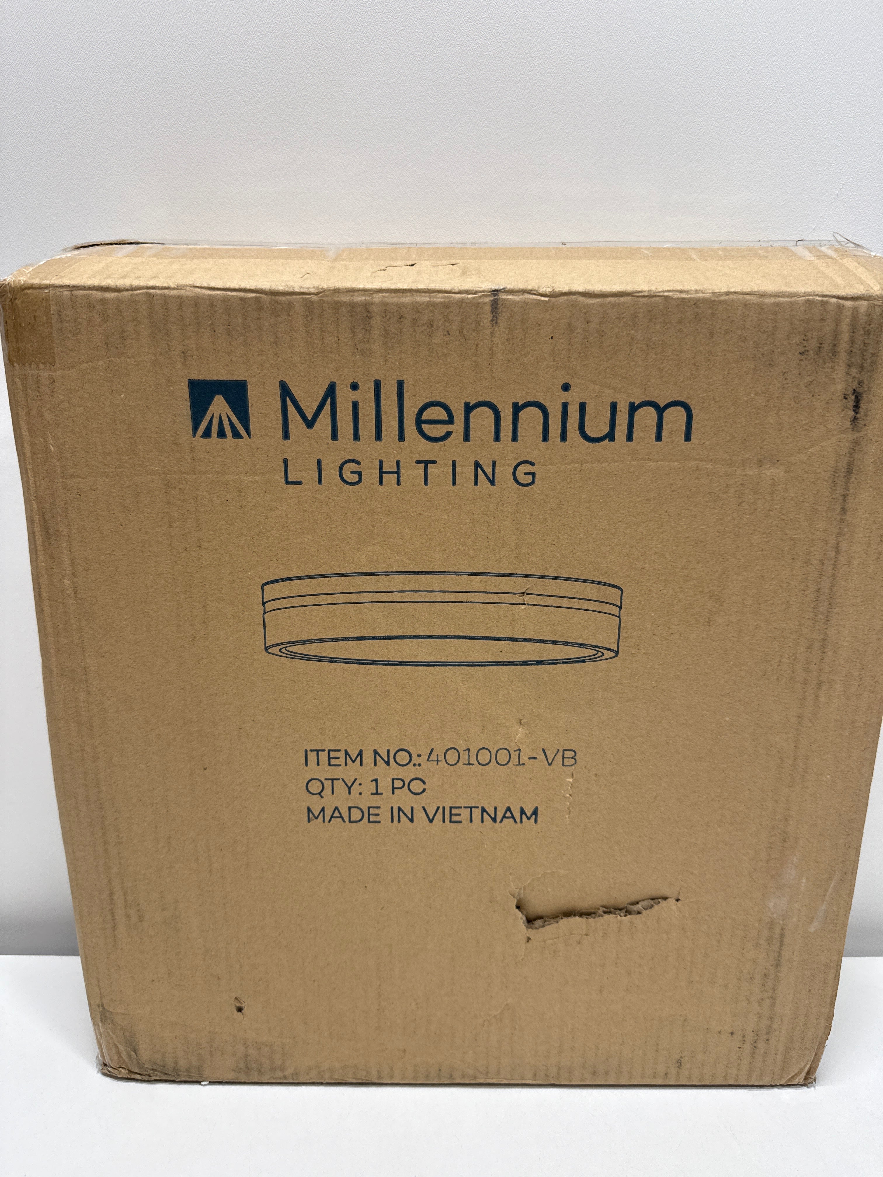 Millennium Lighting 401001 Soltra 13 Wide LED Flush Mount Drum Ceiling Fixture - Brass