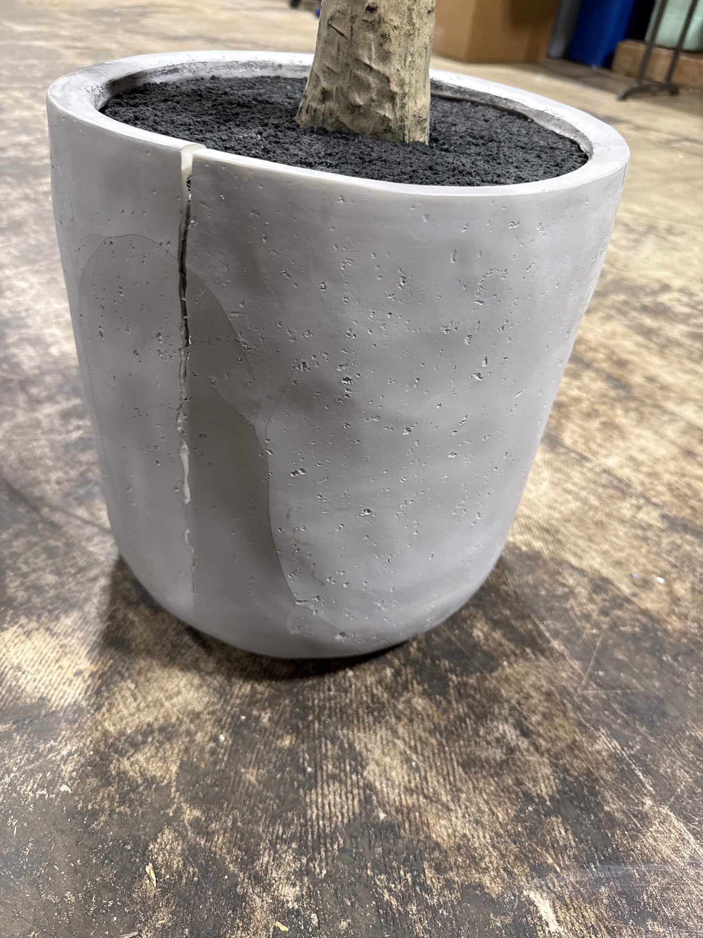 Damage Faux 7.5' Citrus Tree